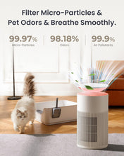 Ladda upp bild till gallerivisning, Osmo AirPurify Pro
