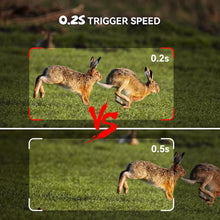 Ladda upp bild till gallerivisning, Osmo WildPro
