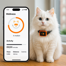 Ladda upp bild till gallerivisning, KittyFind GPS Collar
