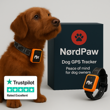 Ladda upp bild till gallerivisning, NordPaw Dog GPS
